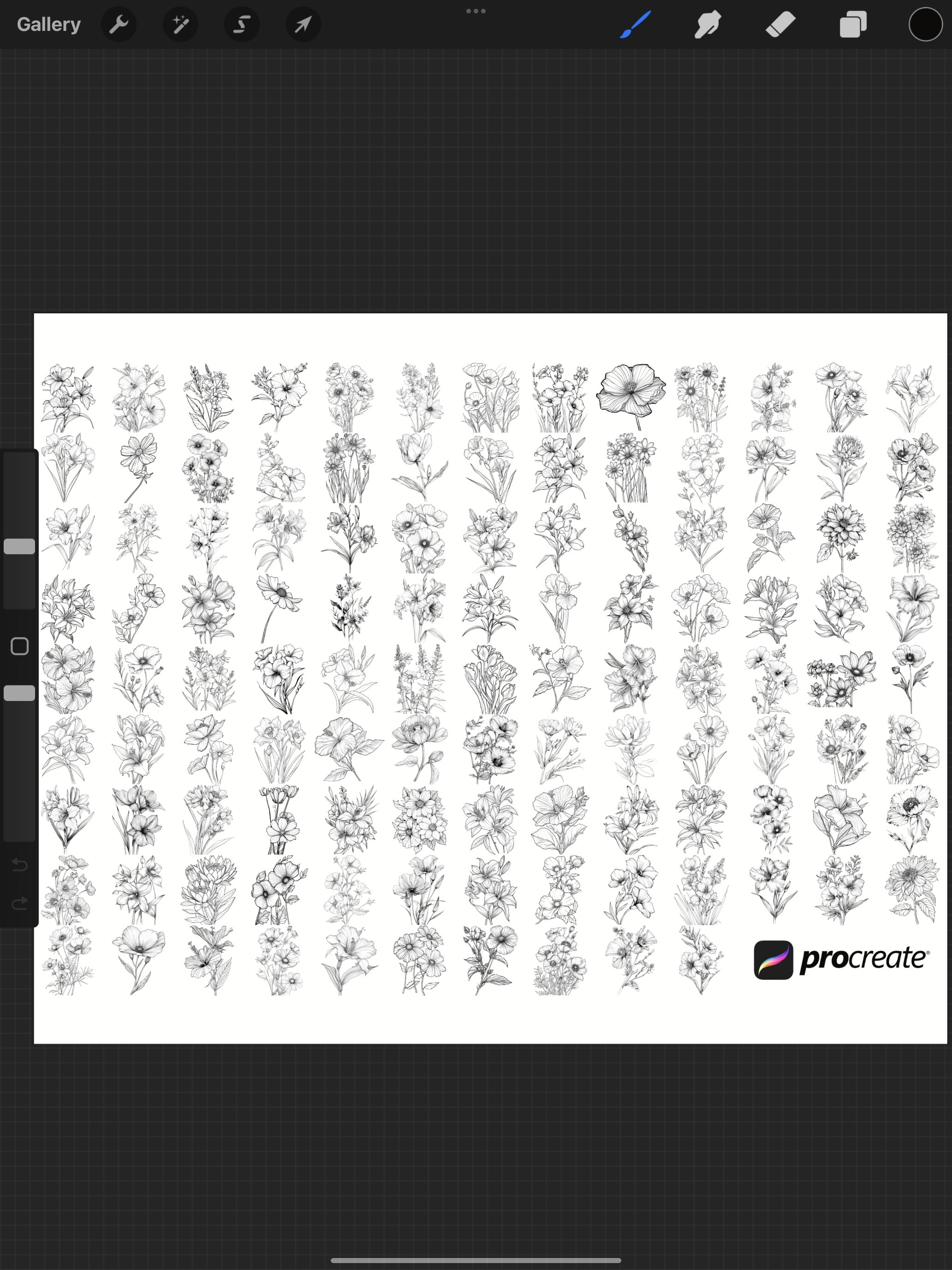 Floral Flower Set 11 Procreate Brush Stamps, 114 Floral