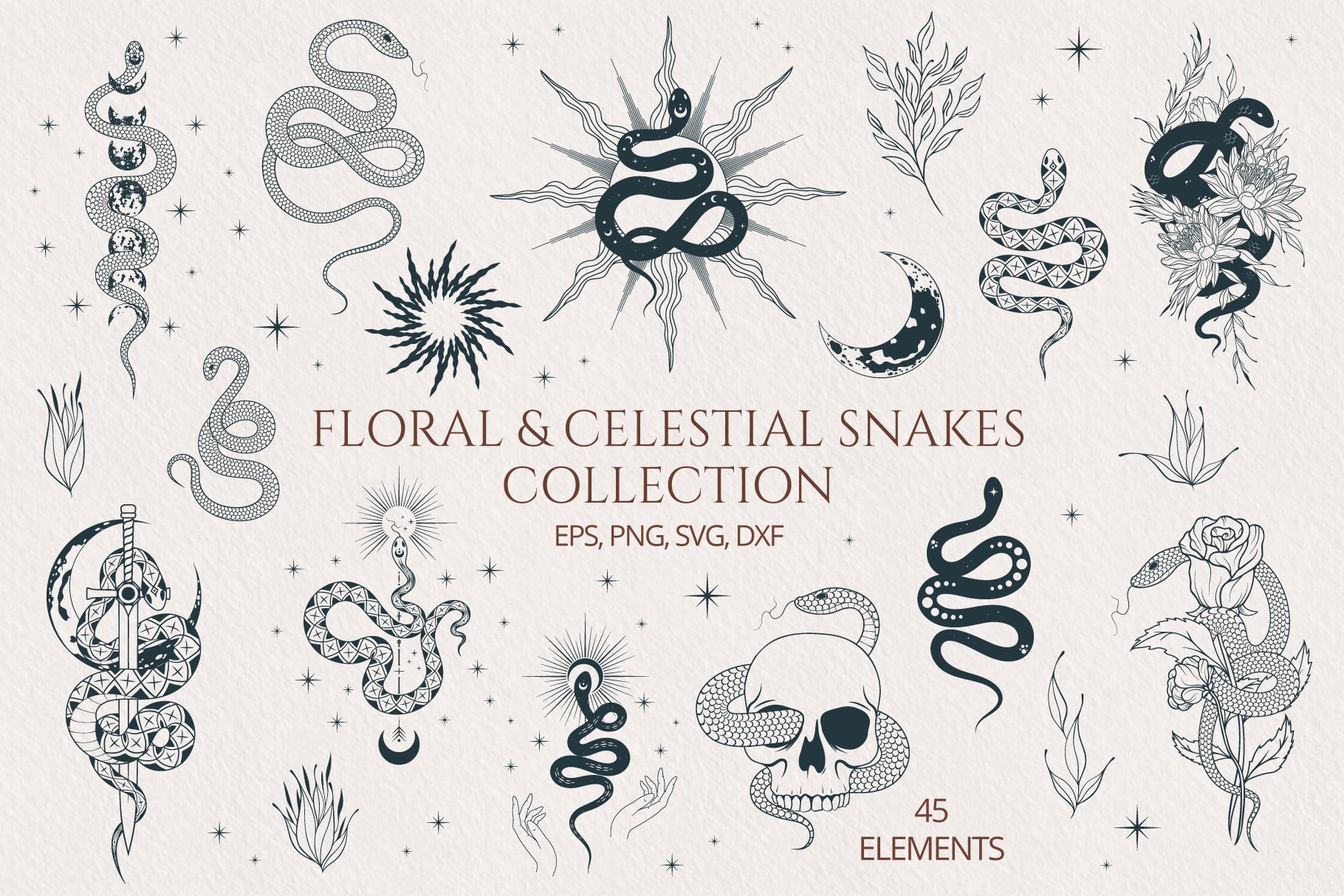 Hand drawn Floral & Celestial Snake Collection