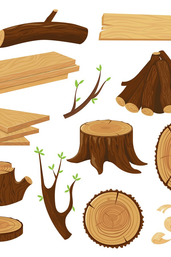 Timber wood trunk. Stacked firewood, logging tree trunks and