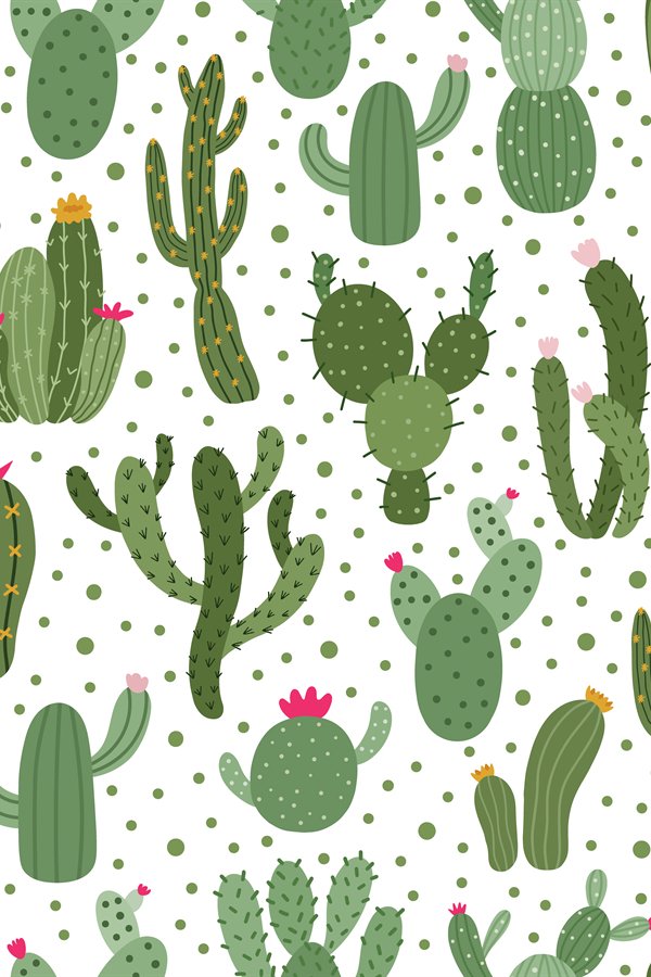 Cactus pattern. Seamless cactus houseplant pattern