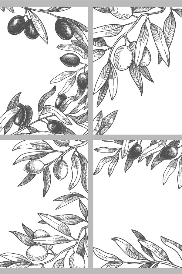 Engraved olive branches frames. Black olives on branch with