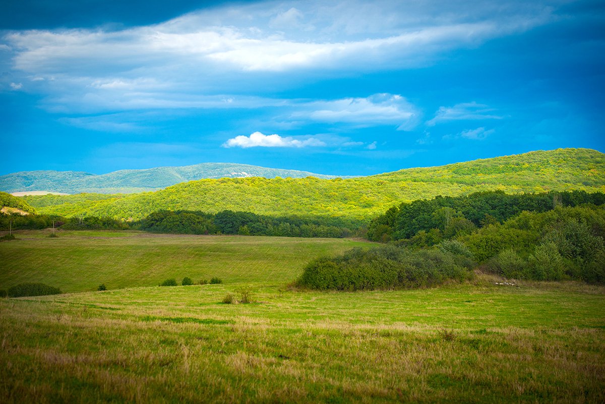 Grass on green meadow and blue sky with clouds
