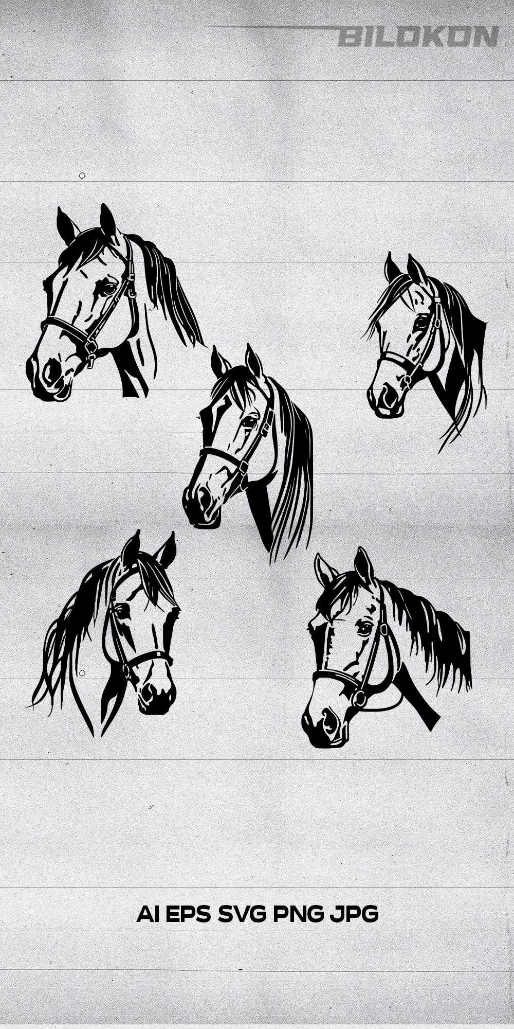 Horse head Vector illustration, SVG