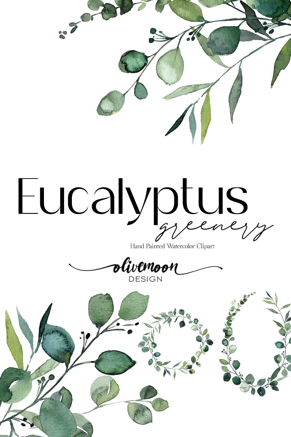 Greenery Clipart Eucalyptus Botanical Baby Blue Watercolor