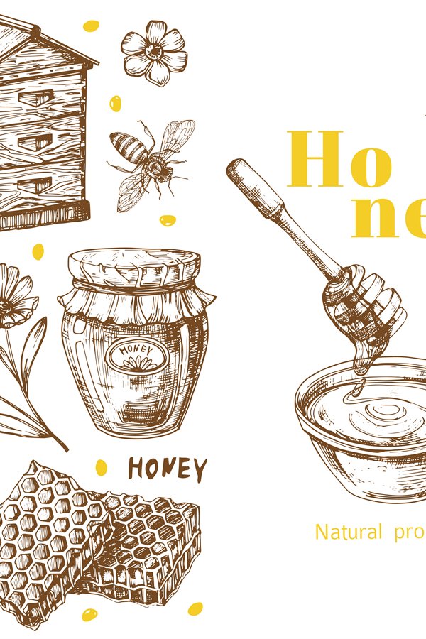 Retro vector honey background template with hand drawn eleme
