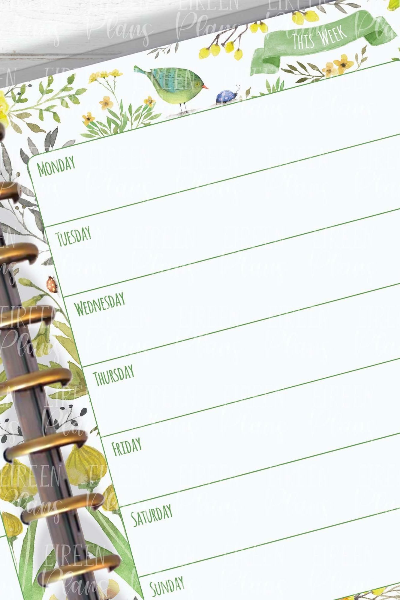 Weekly printable inserts for Classic Happy Planner