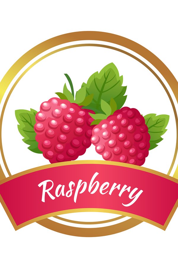 Raspberry marmalade jam sticker. Home canning, sweet jam fro