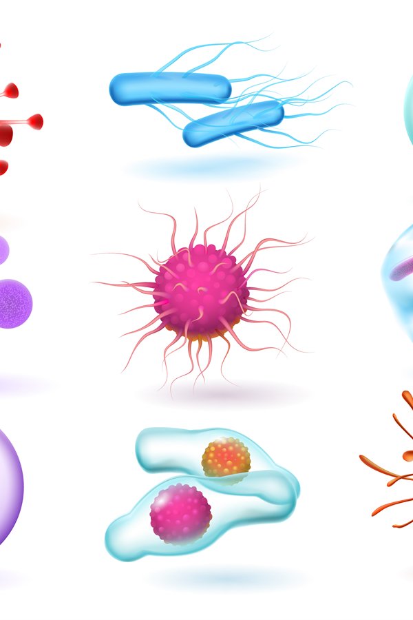 Realistic 3d microbiology bacteria, various virus, nature mi