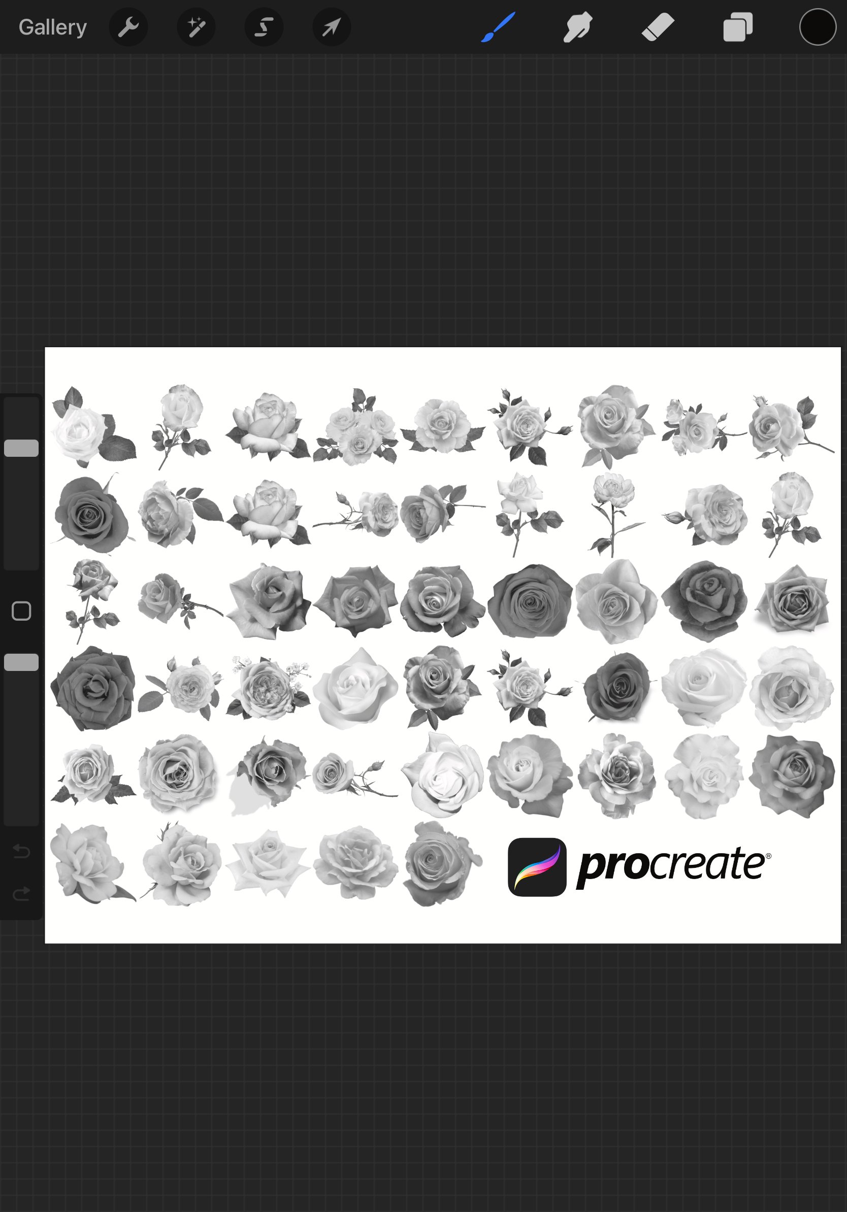 Roses Procreate Brush Stamps Set 1, 50 Roses Stamps