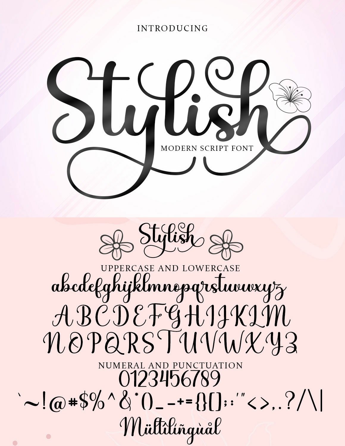 Stylish Script (2691506)
