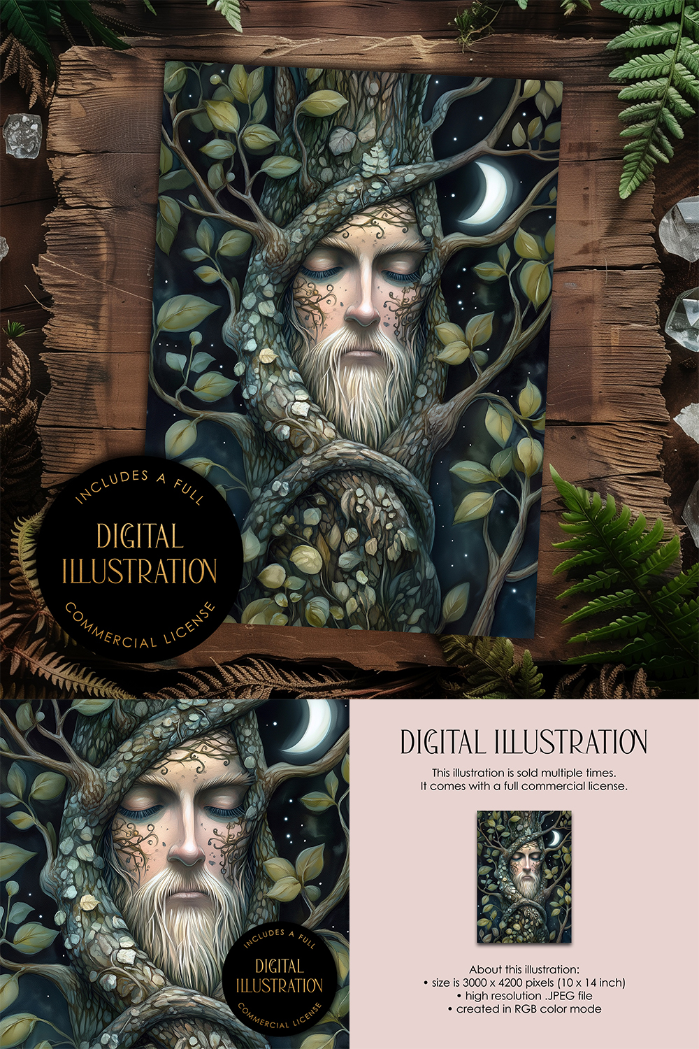 Tree Dryad Digital Illustration