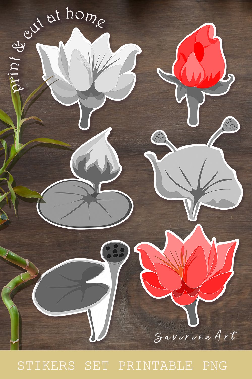 Asia Design Sticker Stickers set Printable. Sticker PNG Asia flowers (2847006)