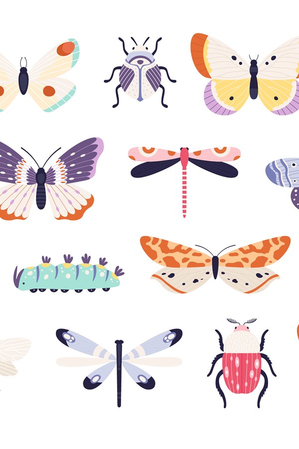 Flying Insect Dodles Decorative insects. Doodle beetles, butterflies, dragonflies