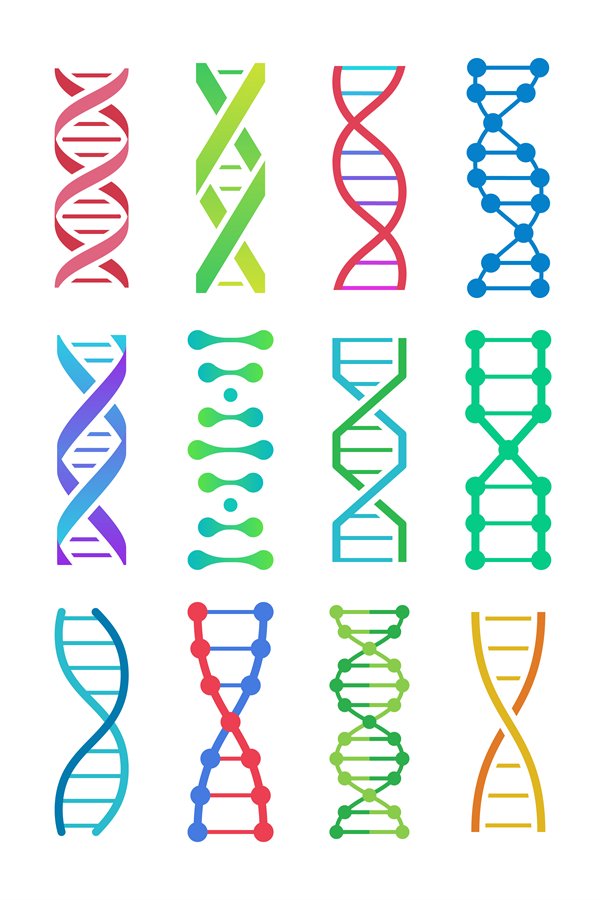 Colorful DNA icon. ADN structure spiral, deoxyribonucleic ac