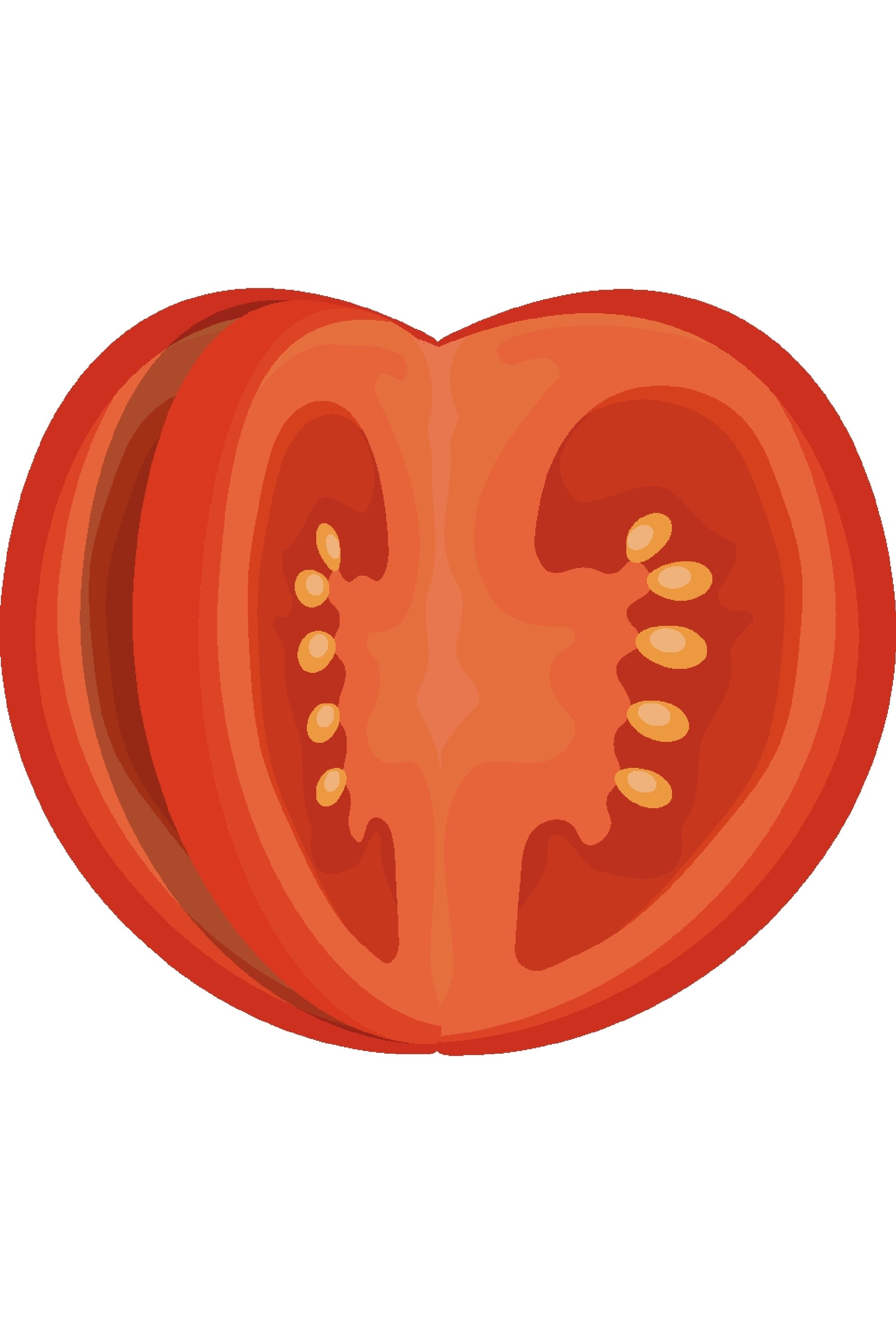 Tomato wedges and slices, halved and thinly sliced for salad