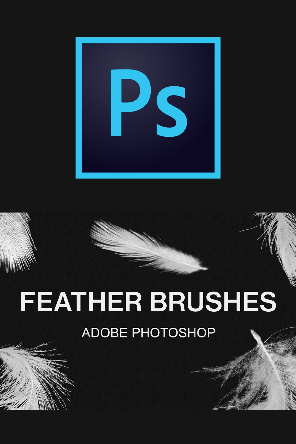 Adobe feather brush pack paint brushes set
