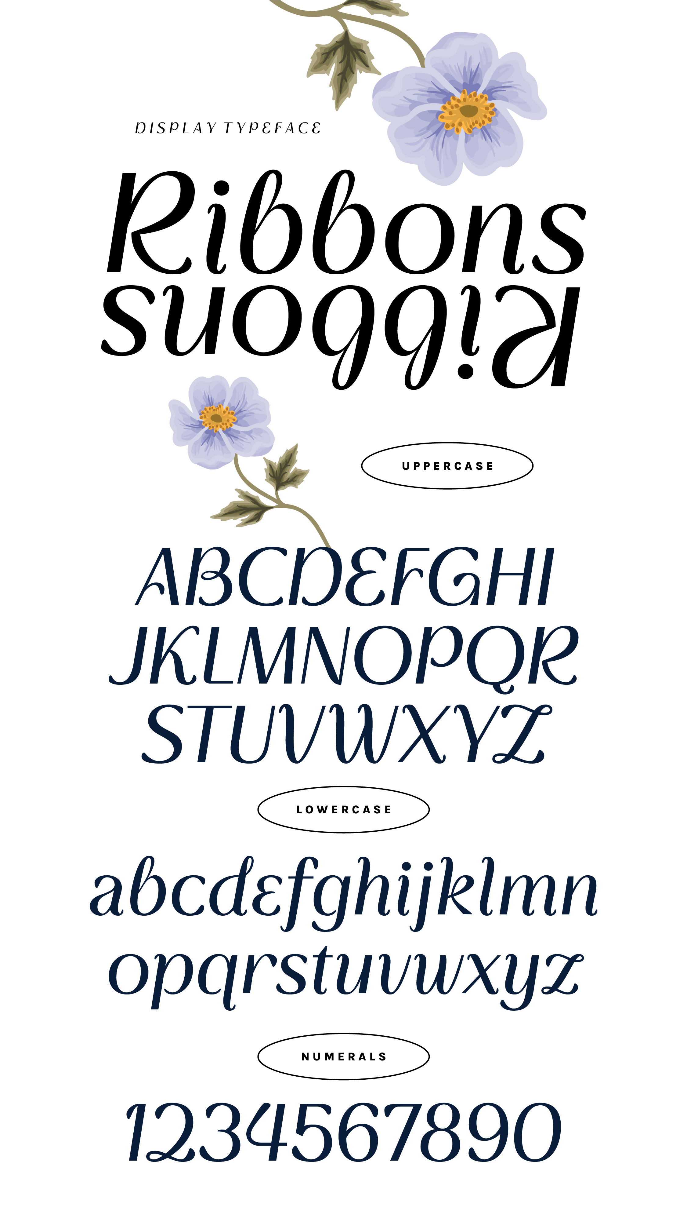 RIBBONS - Beautiful Display Font