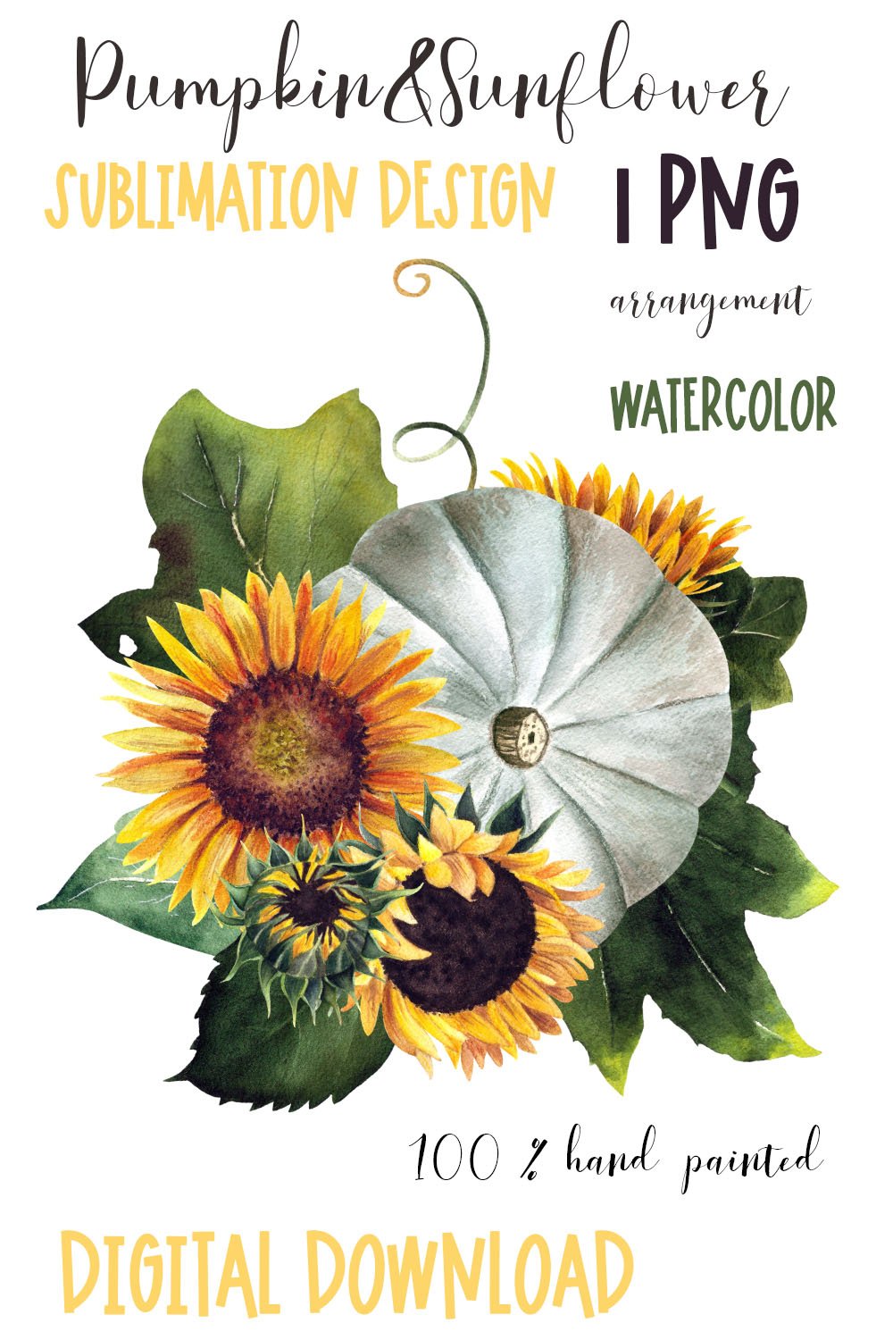 Watercolor pumpkin and sunflower clipart