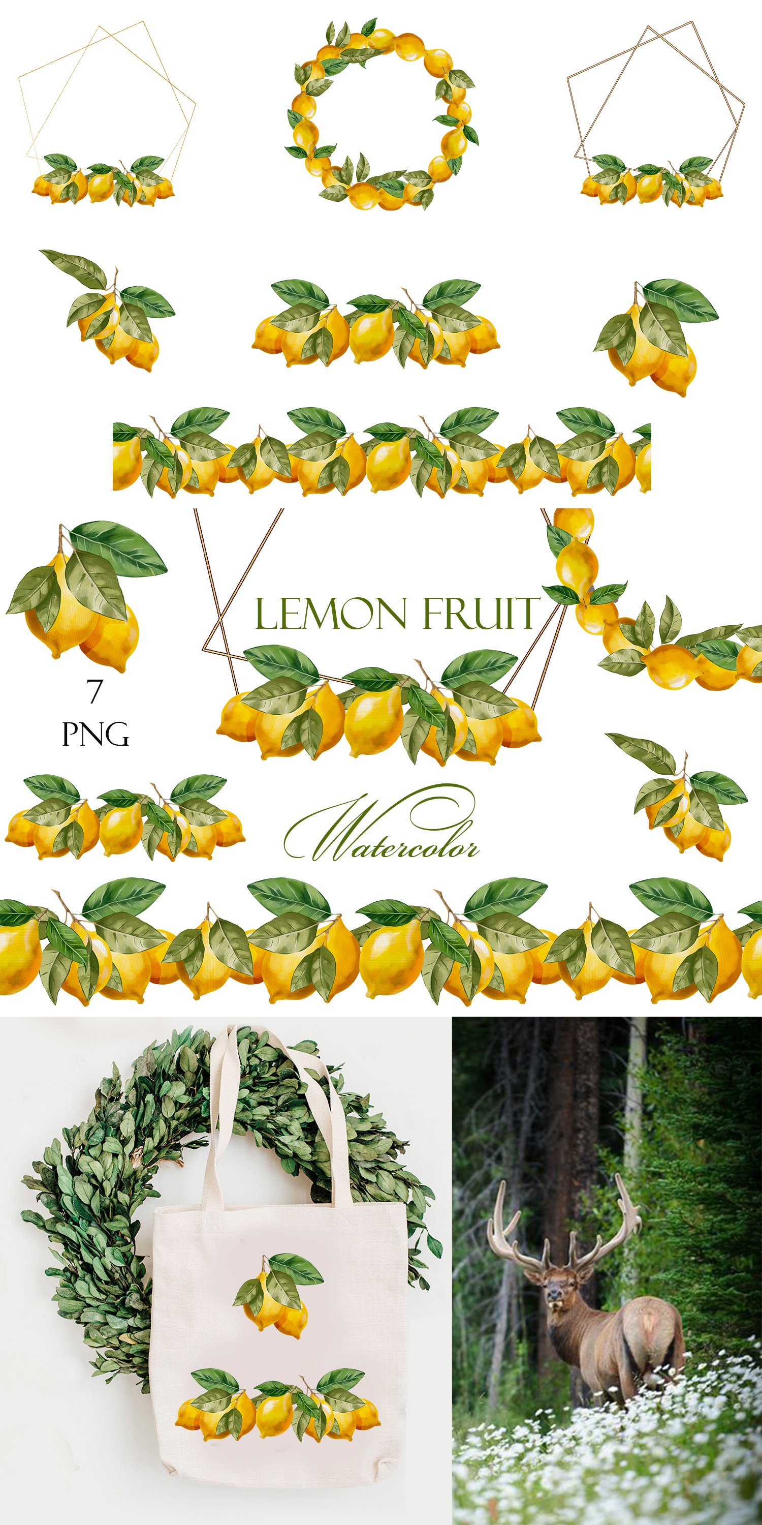 Watercolor lemon clipart, Lemon wreath and (2552941)