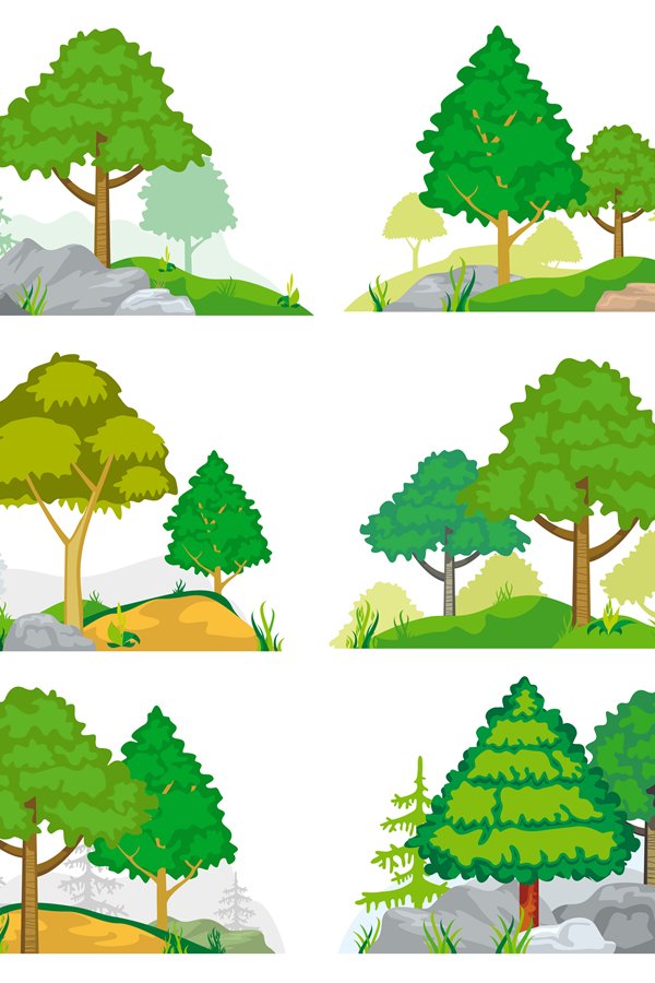 Landscapes with coniferous and deciduous trees, grass or roc
