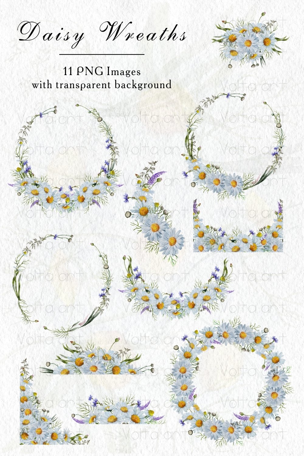 Daisy Wreath, Chamomile border, Floral frames, Wedding PNG
