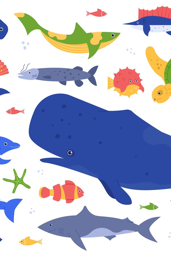 Sea animals species. Ocean animals in their natural habitat
