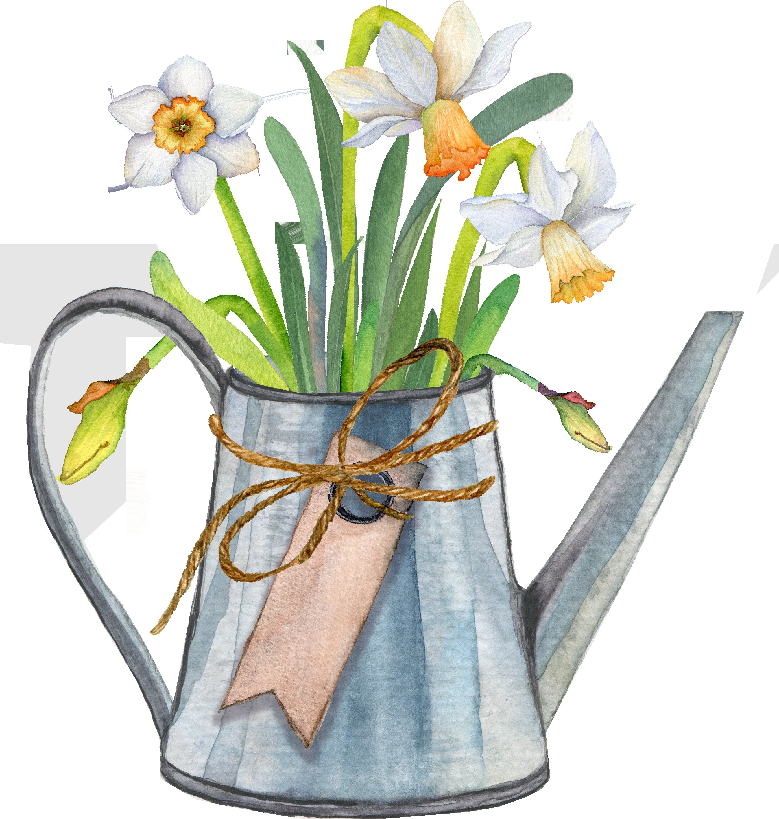 Watercolor Easter set colorful eggs spring flowers PNG