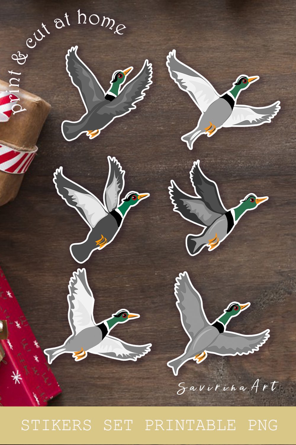 Stickers set Printable. Sticker PNG Asia Bird. (2846700)