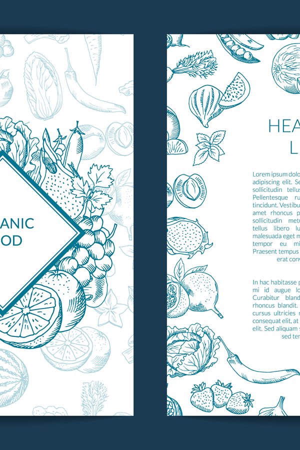 Vector handdrawn fruits and vegetables vegan, (779500)