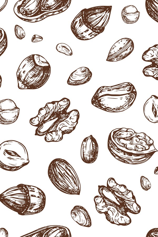 Nuts seamless pattern. Dried fruit and nut endless vector te