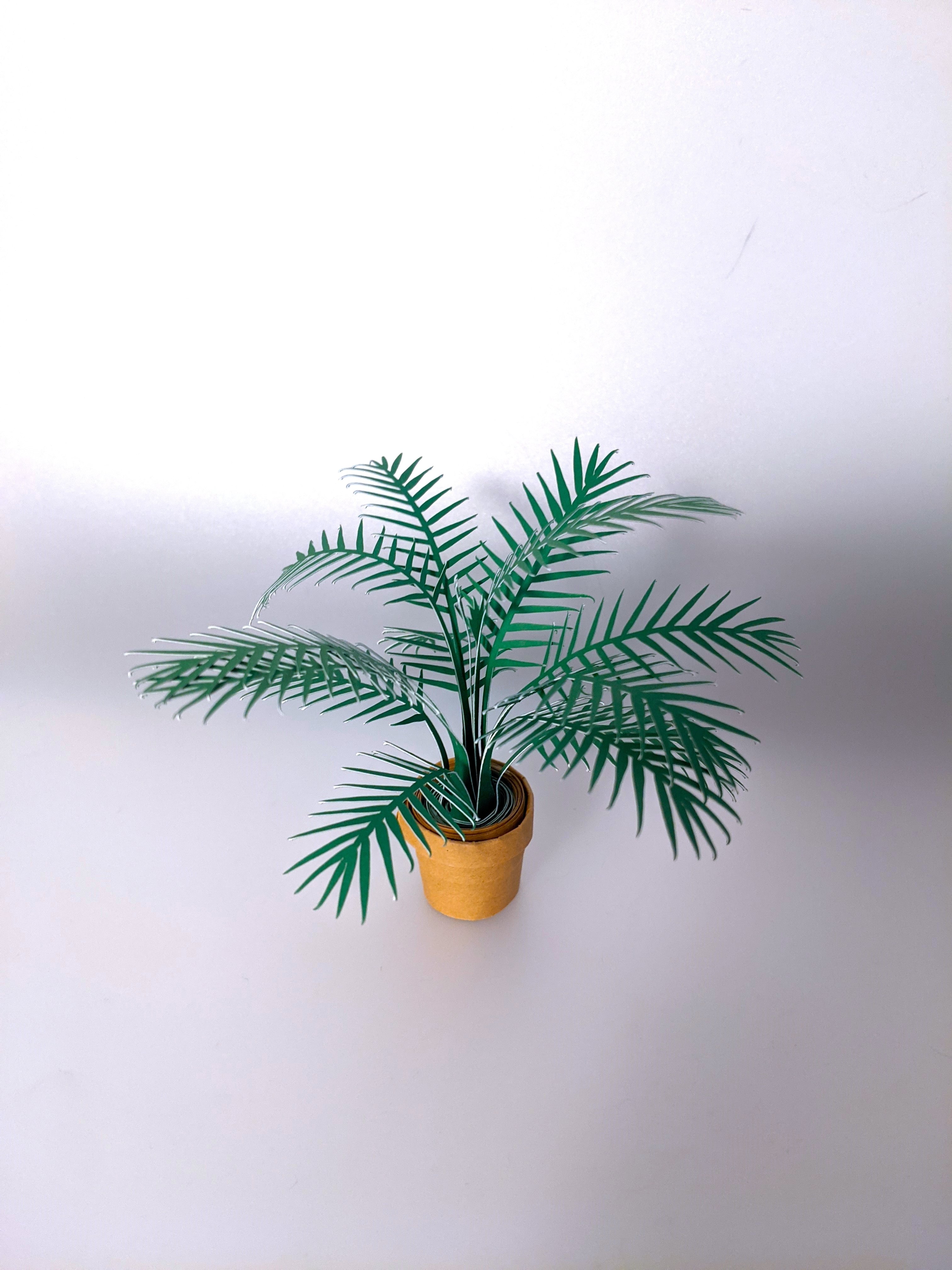 Palm Tree Template For Cutting Machines Palm Tree Template For Cutting Machines