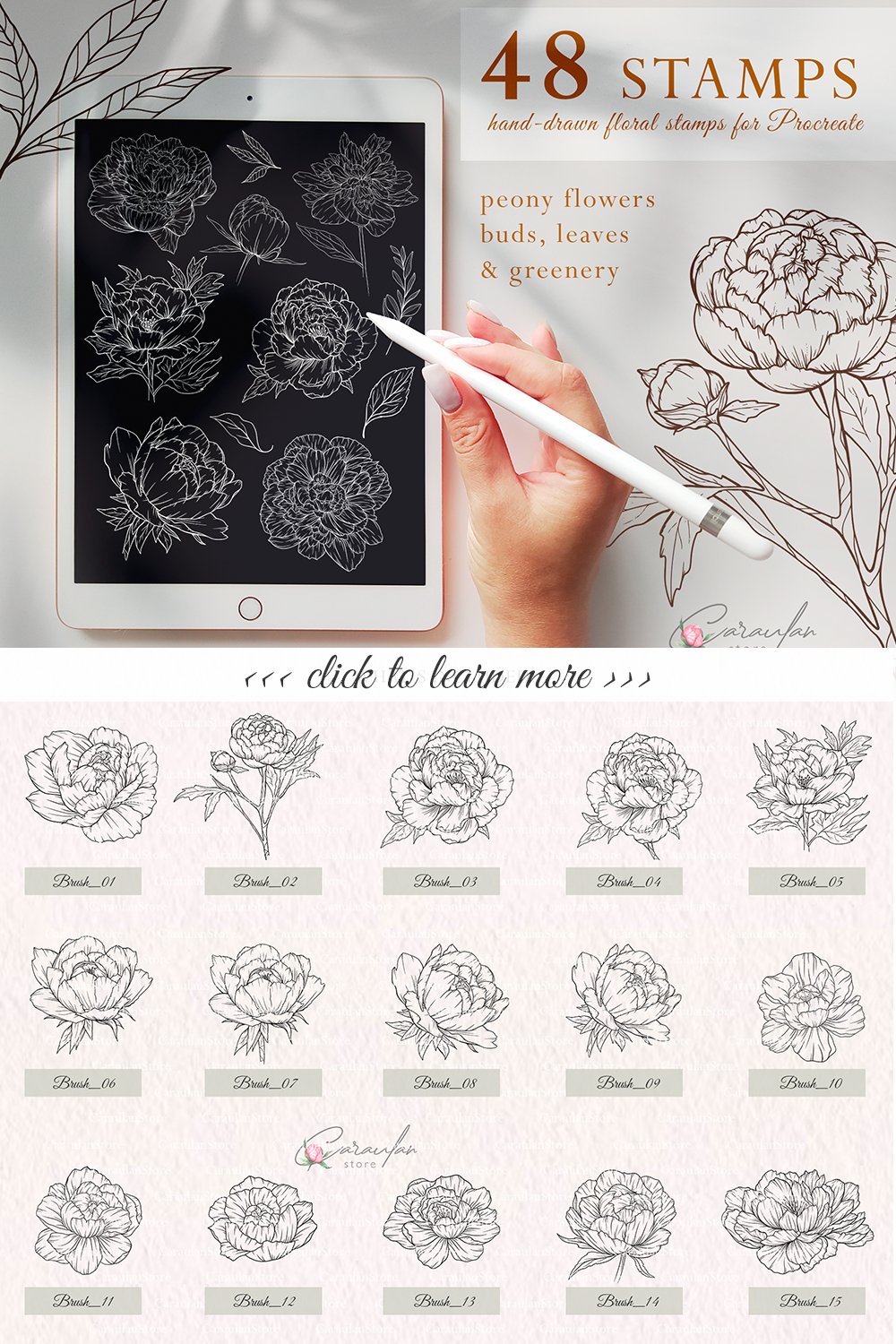 PROCREATE FLORAL STAMPS, FLORAL BRUSHES, PEONY STAMPS