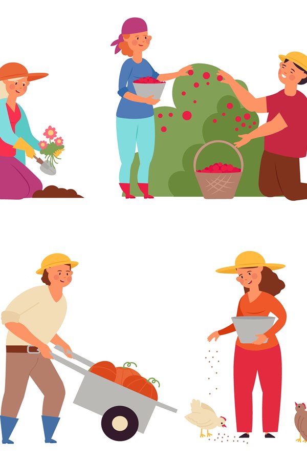 Farmers at work. Agriculture workers, isolated farmer harves
