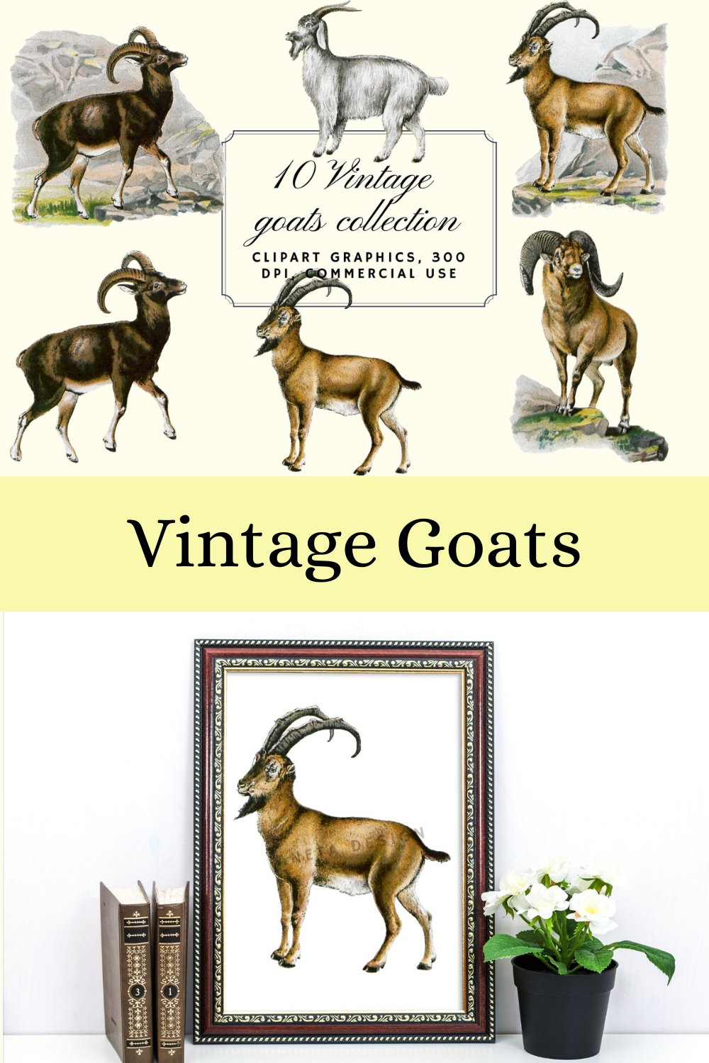 Vintage Goats Illustration, Farmhouse Wall Art (2509182)
