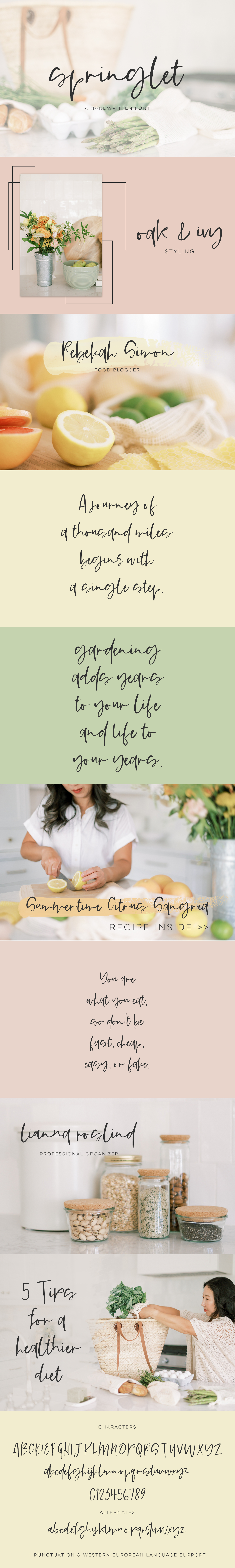 Springlet Script (6658419)