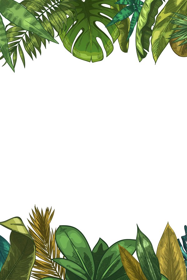 Green tropical leaves frame. Nature leaf border, summer vaca