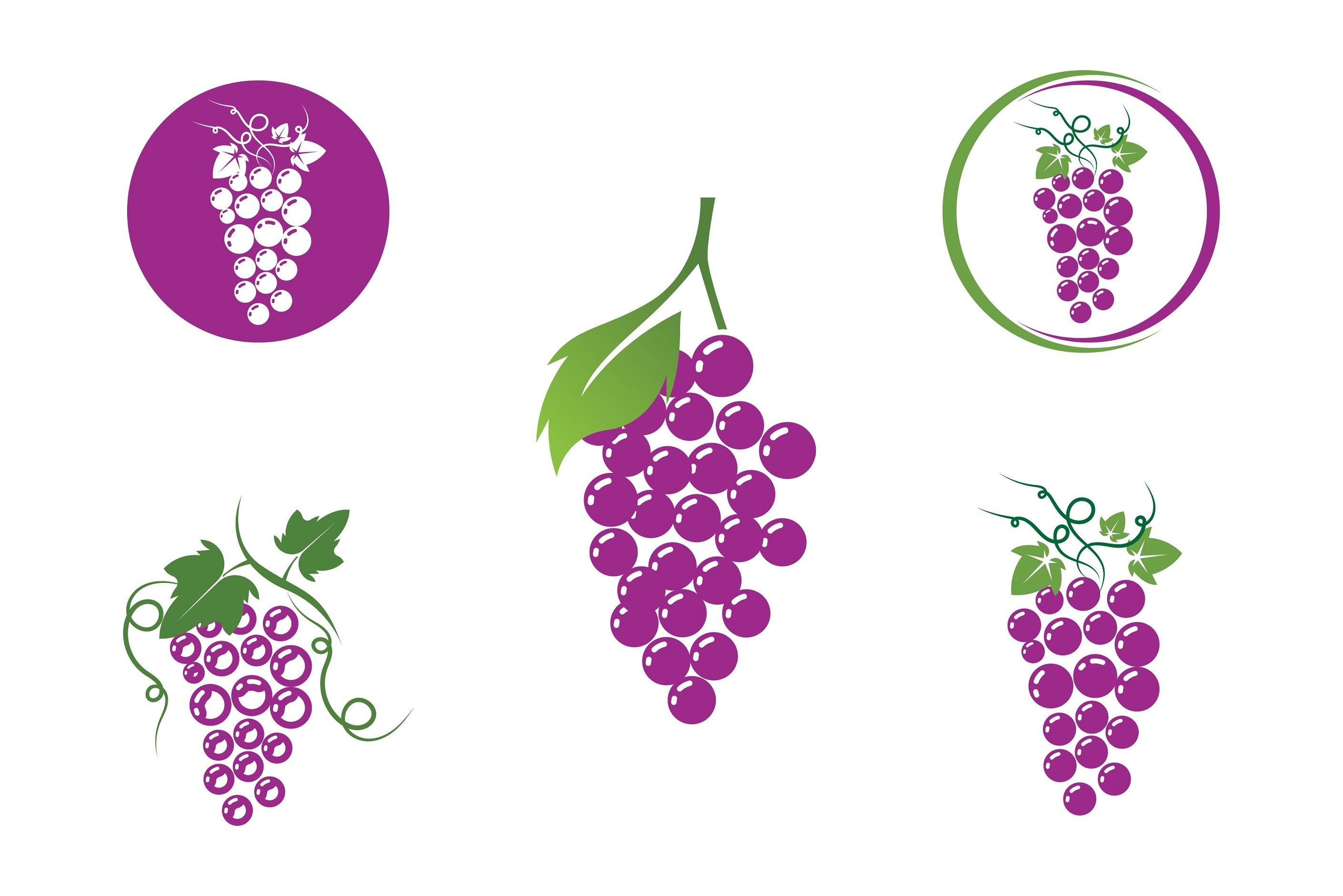 Grape logo and symbol fruits
