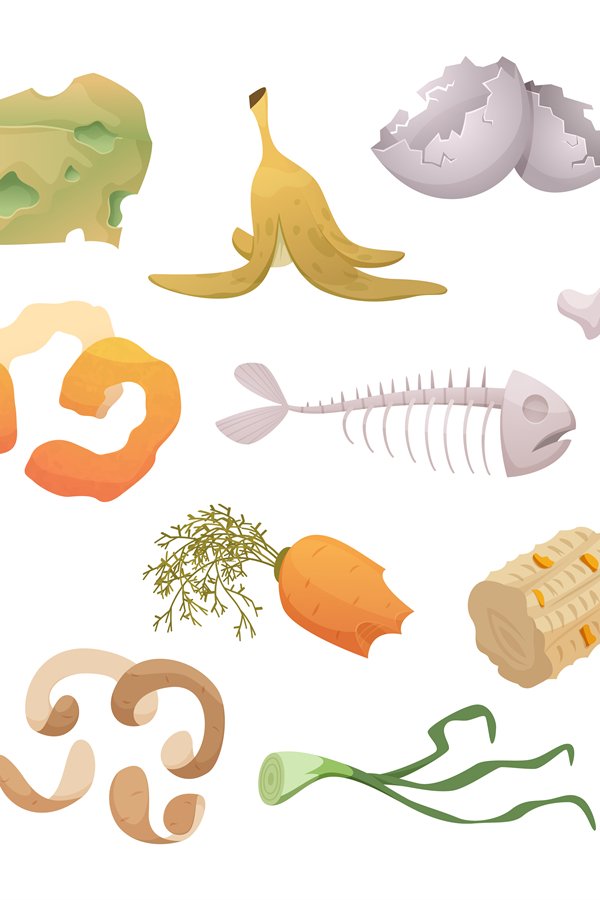 Waste foods. Recycling organic trash fruits meat vegetables