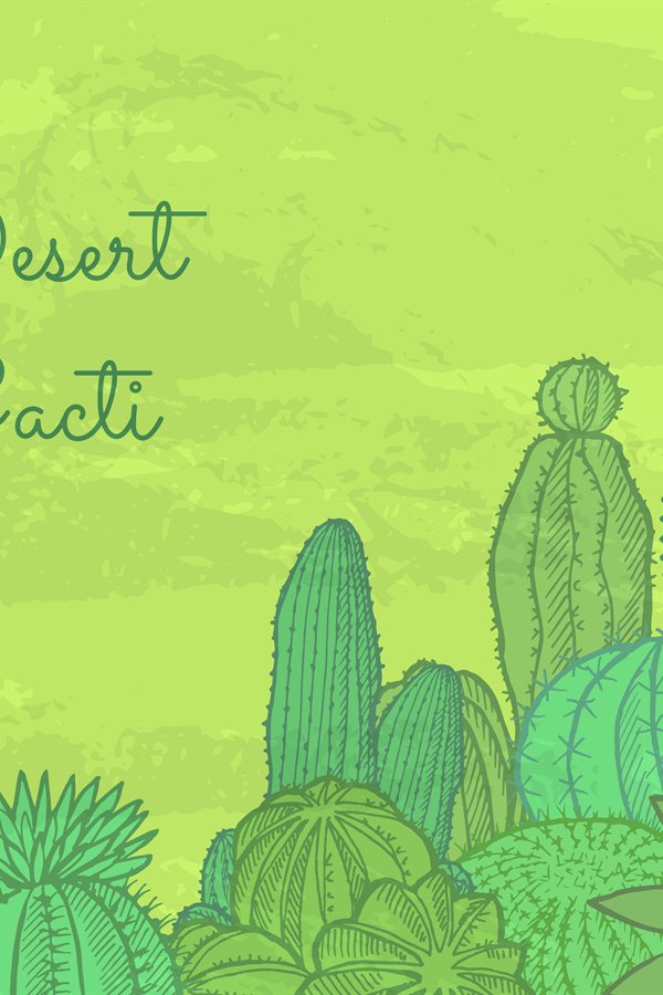 Vector wild cacti plants with place for text