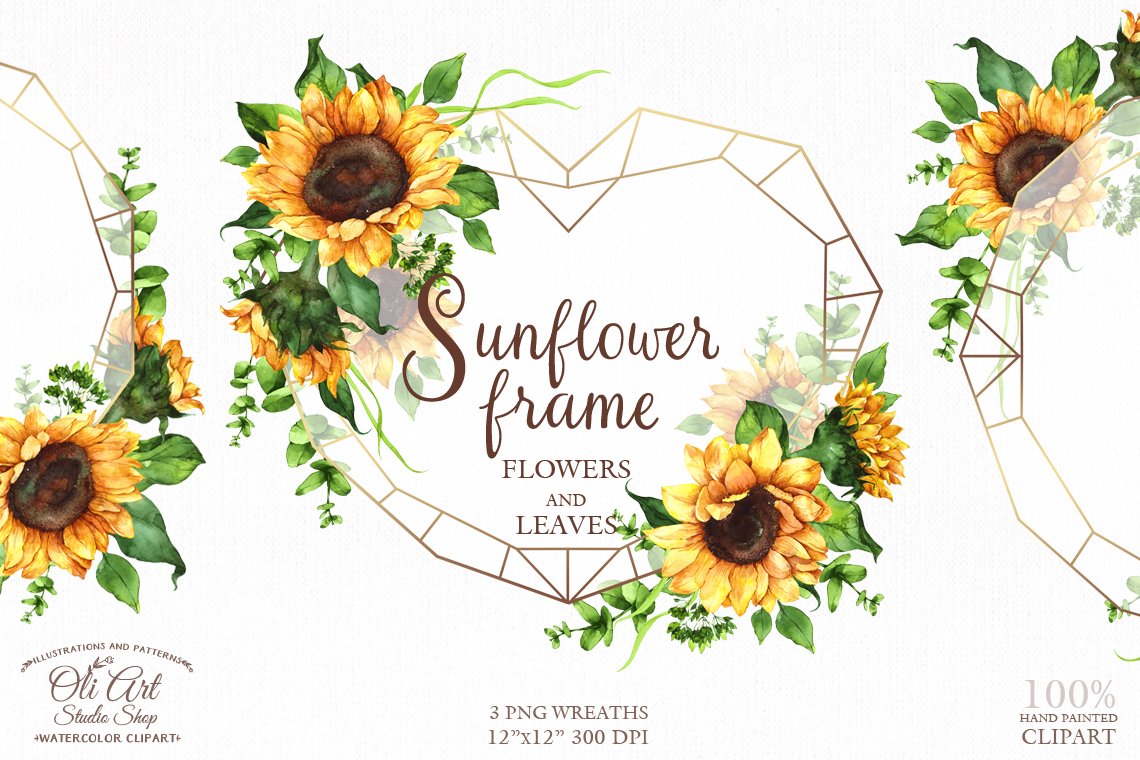 Watercolor sunflower frames png (689328) | Graphic Objects | Design Bundles