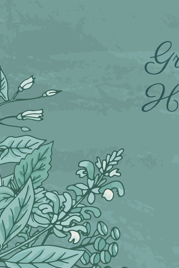 Vector hand drawn medical herbs illustration (873114)