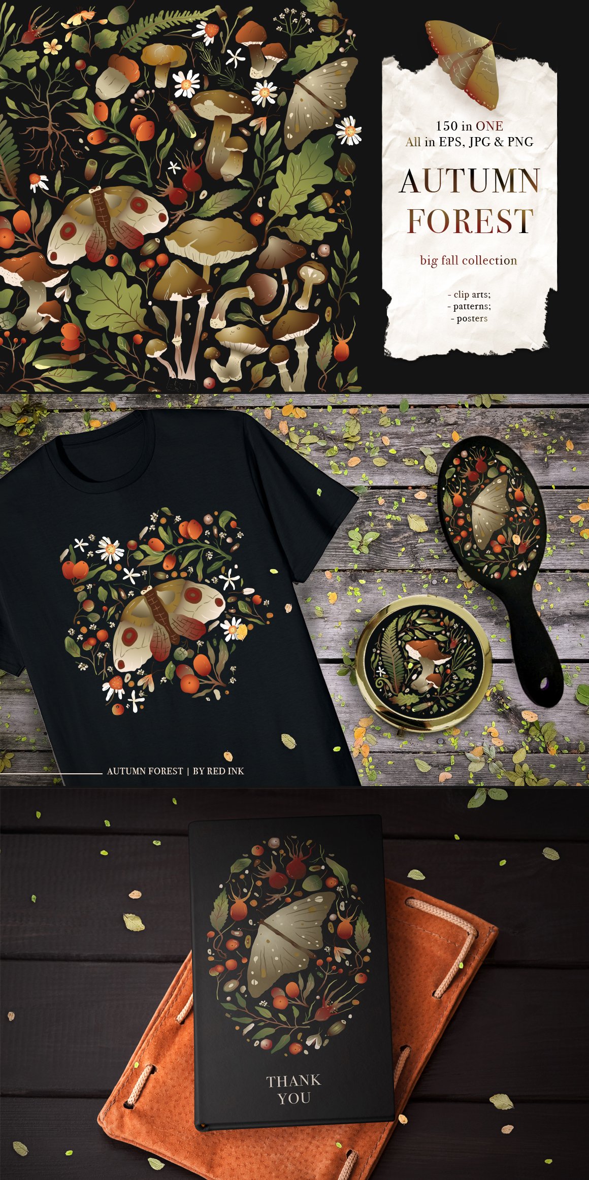 Autumn Forest. Big Graphic Set.