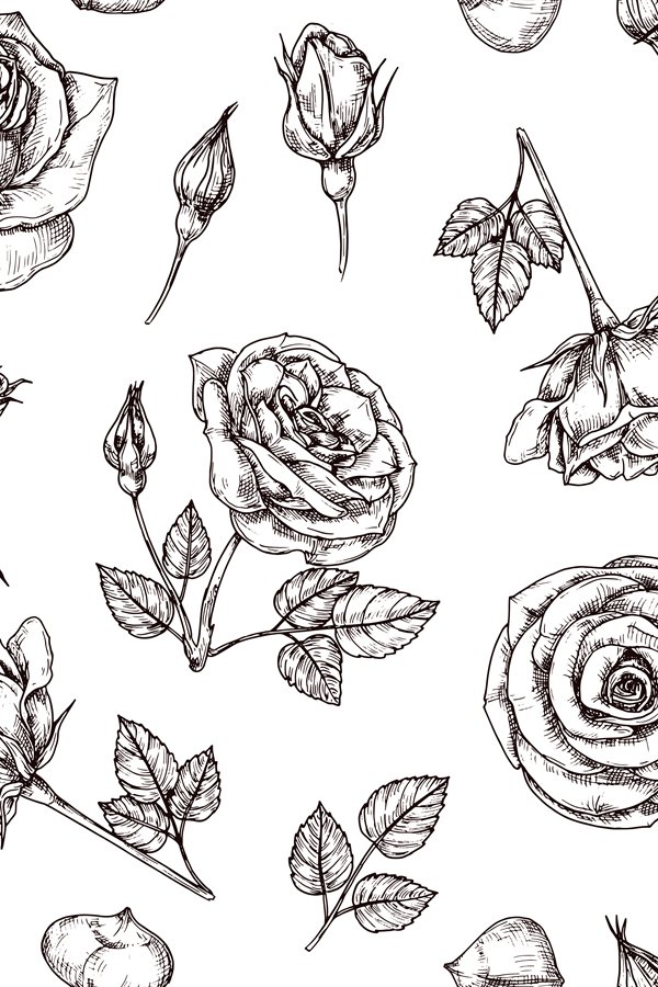 Write Me Roses Patterns Roses seamless pattern. Hand drawn rose floral textere. Flow