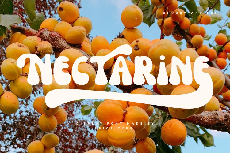 Nectarine - Display Font (1548164)