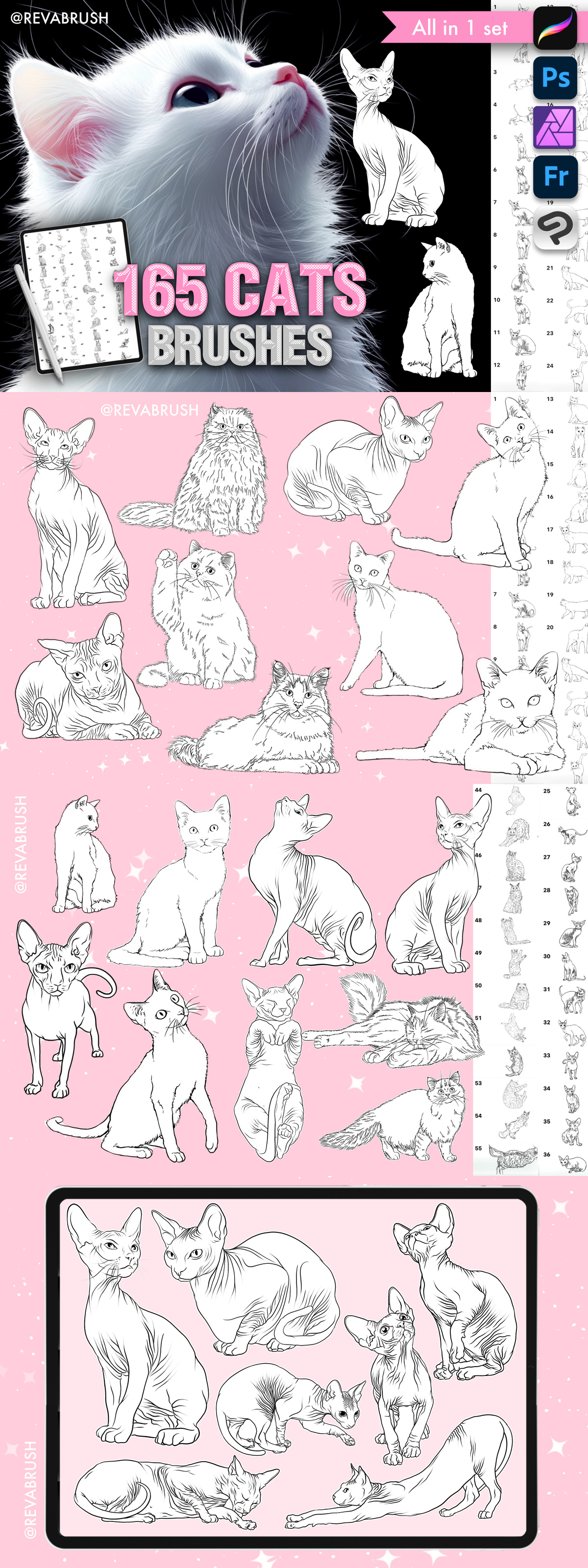 165 Cats Procreate Brushes – Cat Line Stamp Brushes Bundle