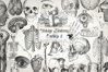 Antique Anatomy Overlays Set 2 (916984) | Illustrations | Design Bundles