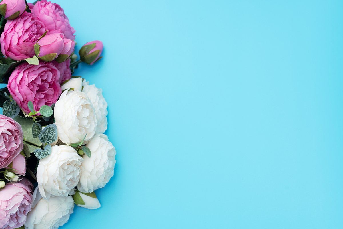 Pink and white flowers on blue background. example image 1