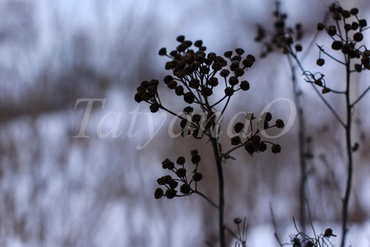 concept of winter mood, atmosphere example image 1