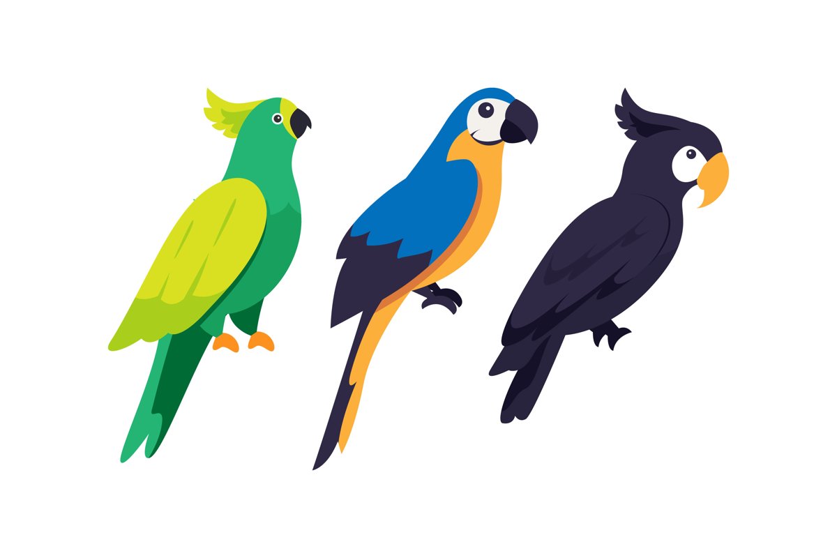 Parrot Illustrations example image 1