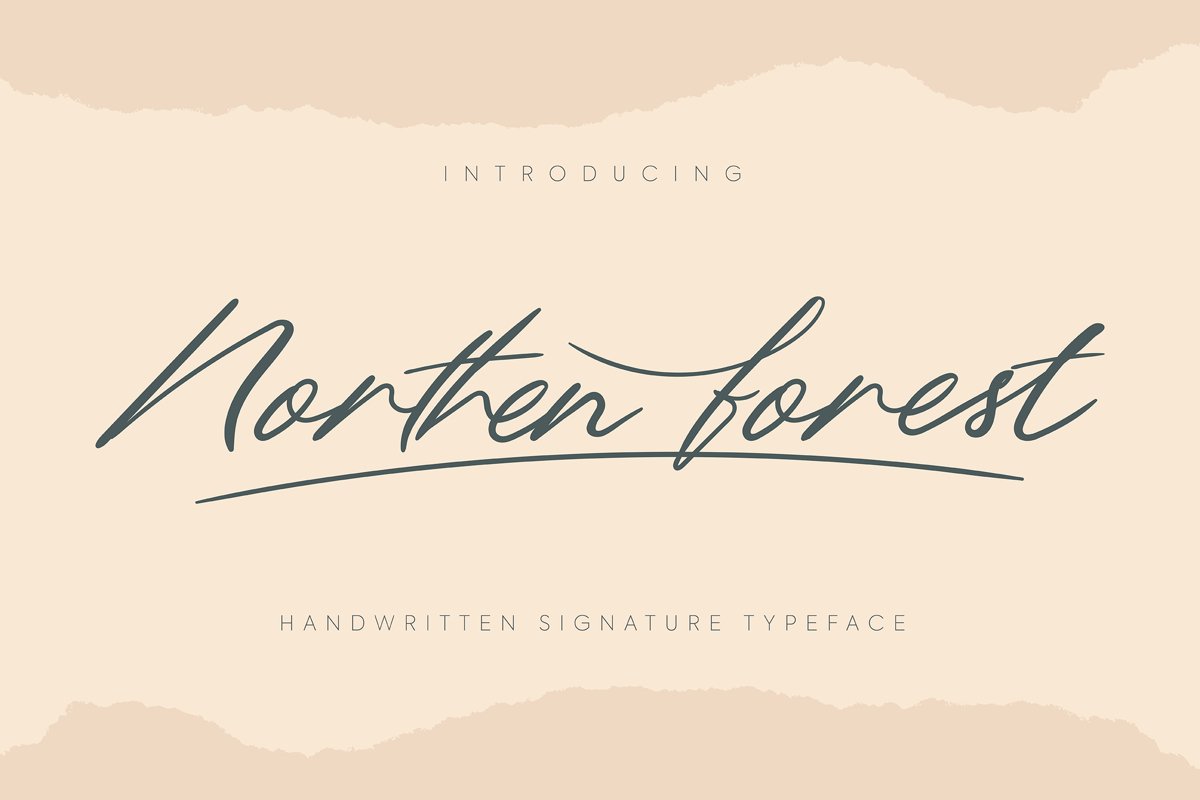 Northern Forest | Handwritten Signature Typeface example image 1
